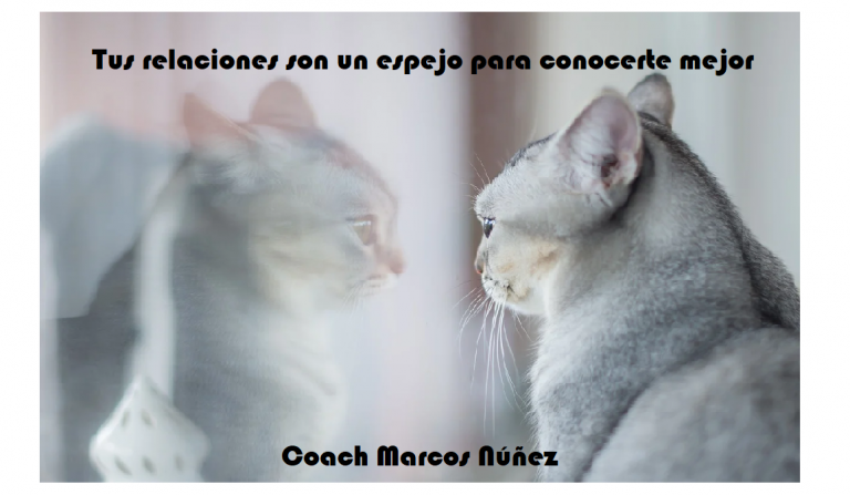 ¿Sabes que tus relaciones son un espejo para conocerte mejor?